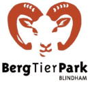 Blindham_logo