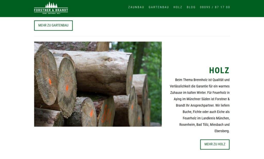 Neue Webseite Kleinunternehmen M&uuml;nchen www.forstner-brandt.de